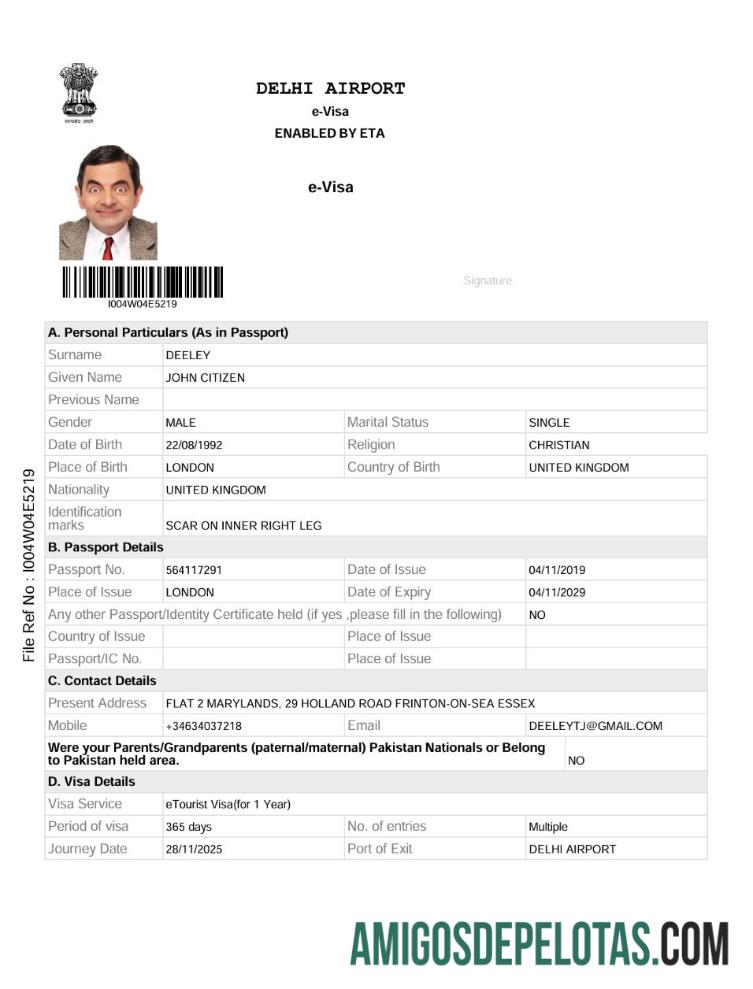 realista Modelo de visto E da Índia em formatos Word e PDF, versão 2